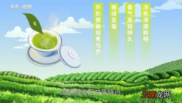 汉中仙毫是啥茶汉中仙毫属于什么茶