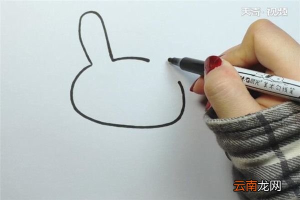 兔子的画法