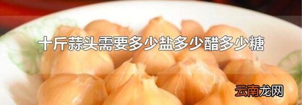 十斤蒜头需要多少盐多少醋多少糖