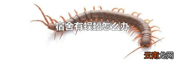 宿舍有蜈蚣怎么办