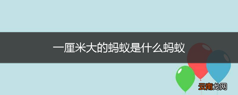 一厘米大的蚂蚁是什么蚂蚁
