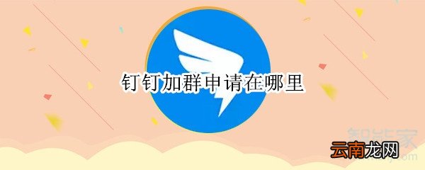钉钉加群申请在哪里