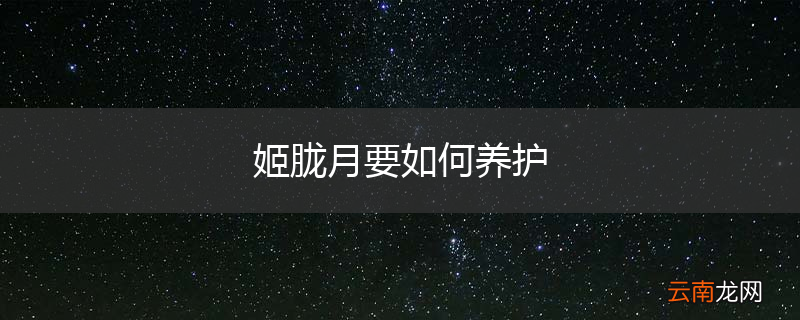 姬胧月要如何养护