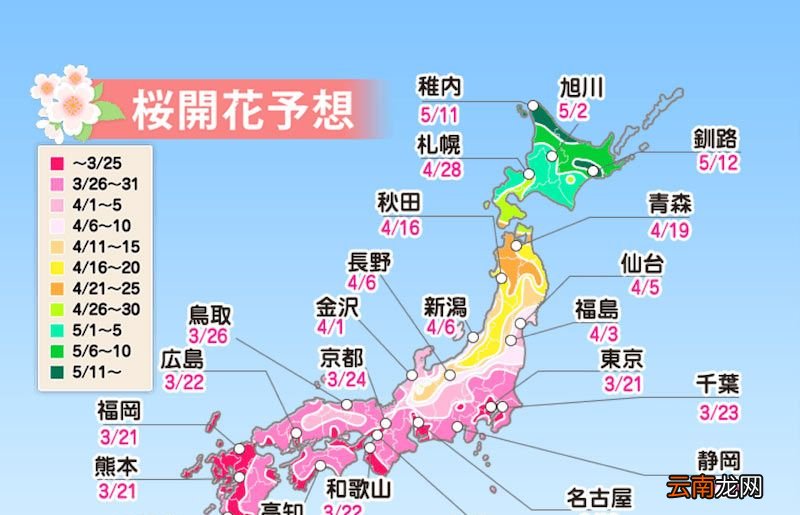日本樱花什么时候开？