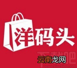 洋码头app设置简介的方法