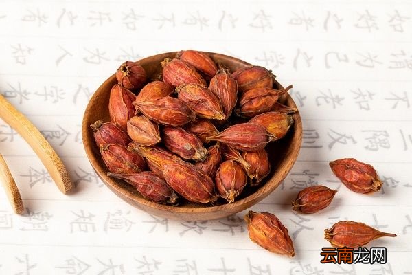 生栀子的功效与作用 生栀子的禁忌