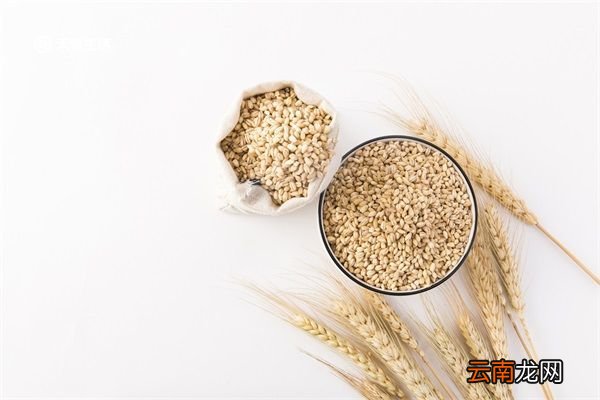 小麦水的功效 小麦水的作用与功效