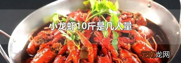 小龙虾10斤是几人量