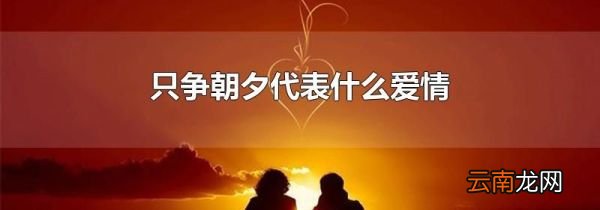 只争朝夕代表什么爱情