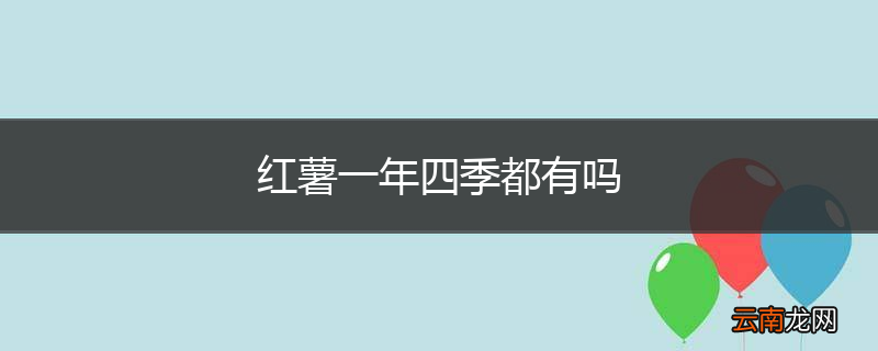 红薯一年四季都有吗