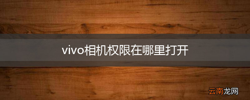 vivo相机权限在哪里打开