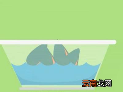 海虹怎么处理干净