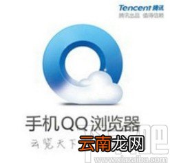 QQ浏览器app清除输入记录数据的方法