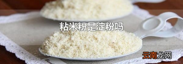 粘米粉是淀粉吗
