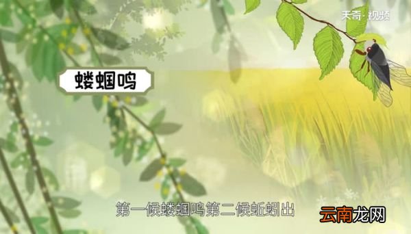 立夏三候是什么 立夏三候含义