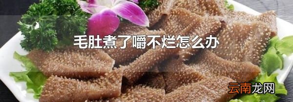 毛肚煮了嚼不烂怎么办