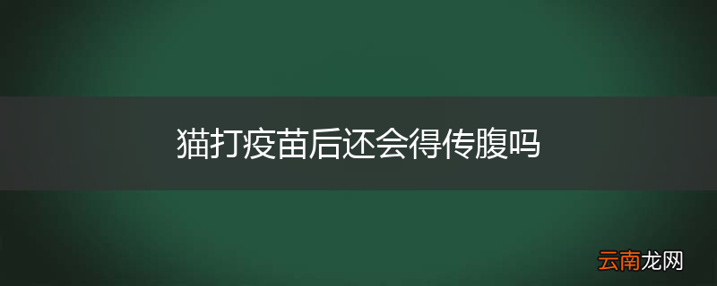 猫打疫苗后还会得传腹吗