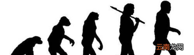 人类的医学发展会不会影响生物进化?