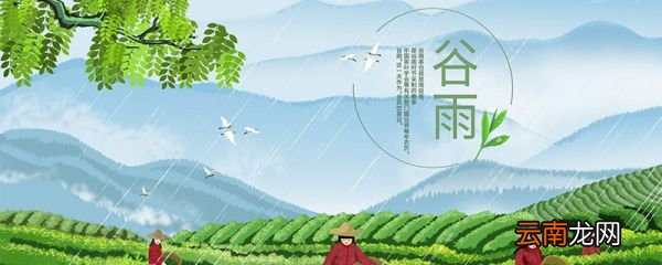 芒种和谷雨的区别 芒种和谷雨的区别在哪