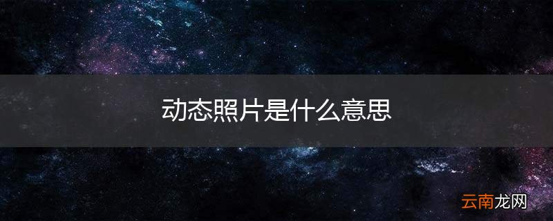 动态照片是什么意思