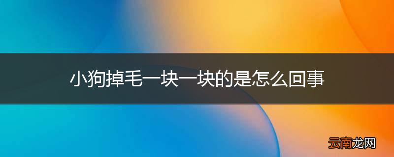 小狗掉毛一块一块的是怎么回事