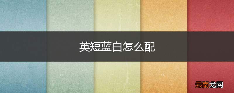 英短蓝白怎么配