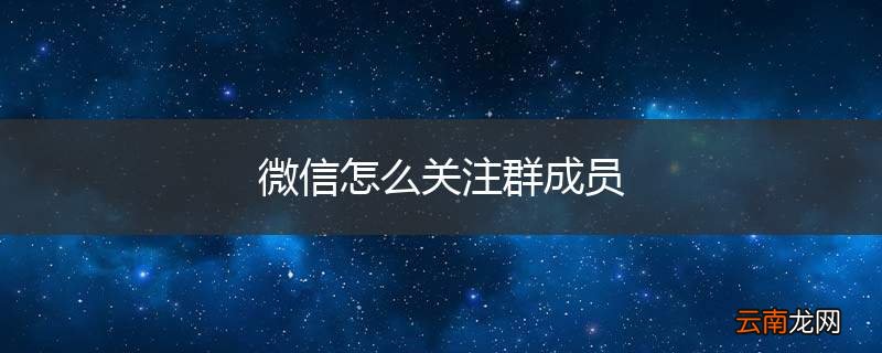 微信怎么关注群成员