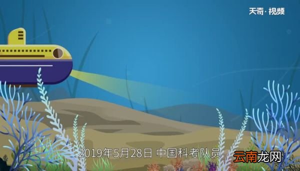 世界上最深的海沟位于哪个洋 世界上最深的海沟在哪里