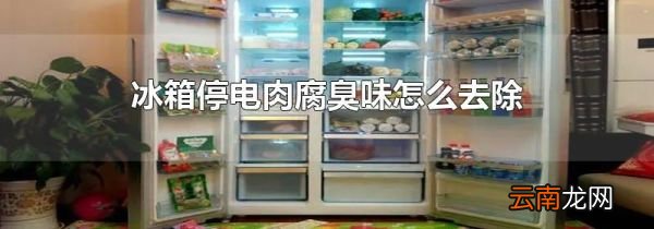 冰箱停电肉腐臭味怎么去除