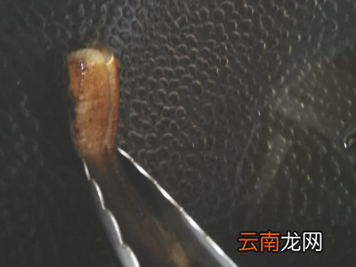 康巴赫怎么开锅第一次