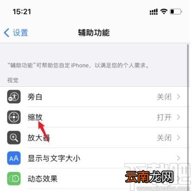 苹果手机关闭缩放功能的方法