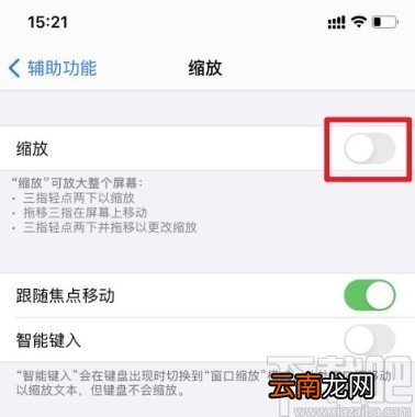 苹果手机关闭缩放功能的方法
