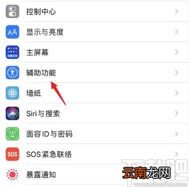 苹果手机关闭缩放功能的方法