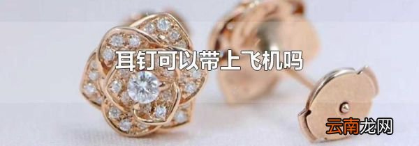耳钉可以带上飞机吗