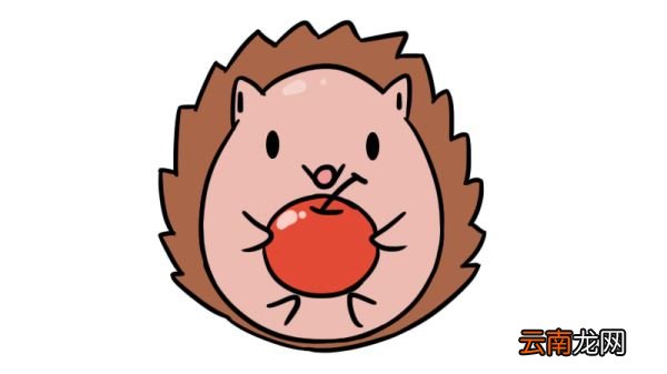 吃苹果的小刺猬简笔画