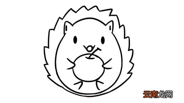 吃苹果的小刺猬简笔画
