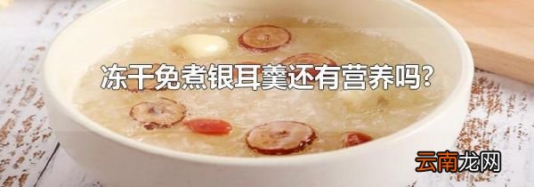 冻干免煮银耳羹还有营养吗?