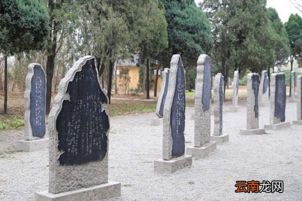 甲骨文出现在哪个朝代 甲骨文出现于什么时期
