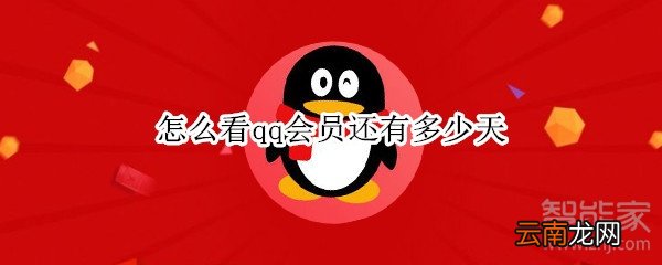 怎么看qq会员还有多少天