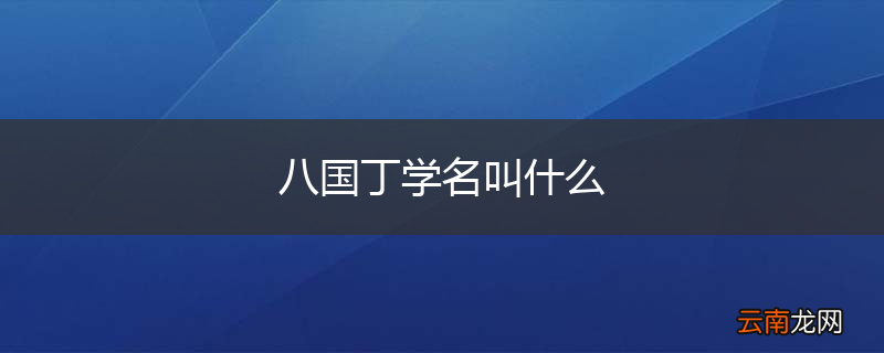 八国丁学名叫什么