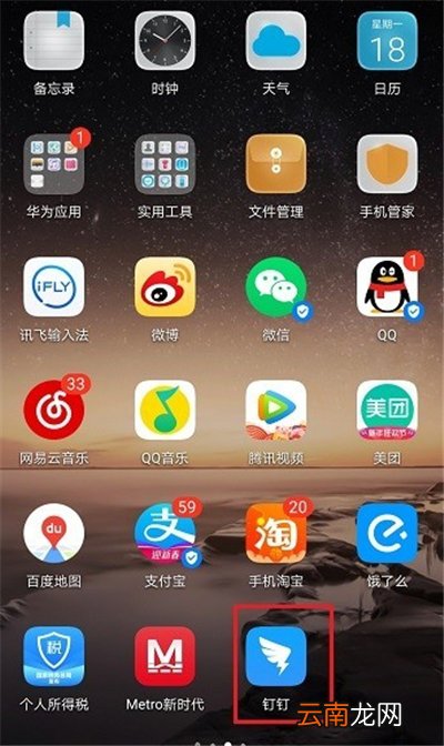 钉盘在哪里
