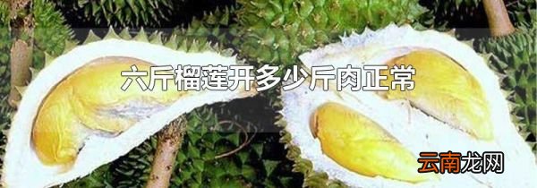 六斤榴莲开多少斤肉正常