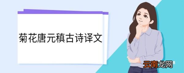 菊花唐元稹古诗译文 菊花唐元稹古诗翻译