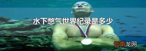 水下憋气世界纪录是多少