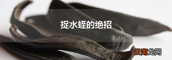捉水蛭的绝招