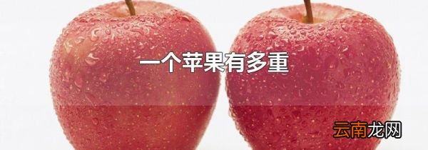 一个苹果有多重