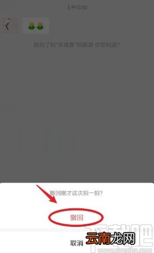 微信app撤回拍一拍消息的方法