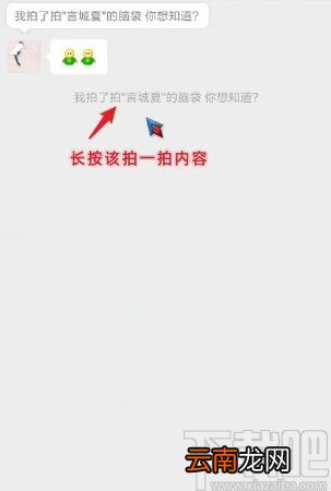 微信app撤回拍一拍消息的方法