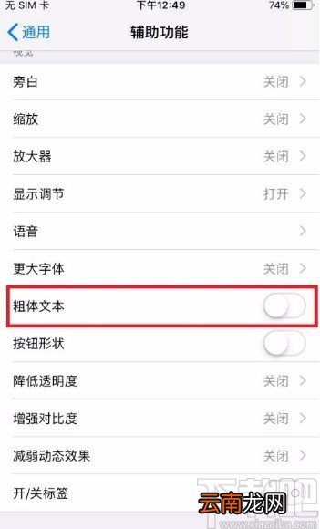 苹果手机开启粗体文本功能的方法
