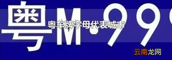 粤车牌字母代表城市